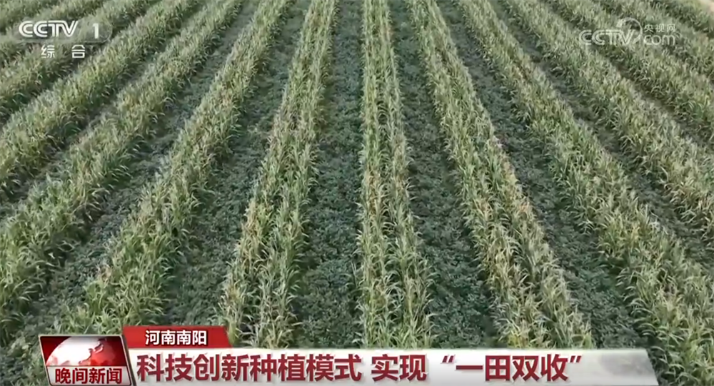 AI技术、“一田双收”、智慧农业……科技赋能奏响秋日“丰收乐章”(图3)