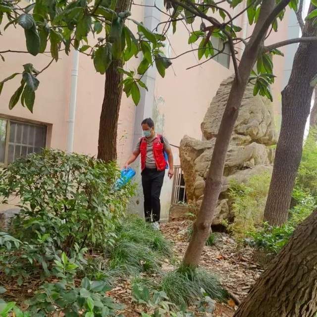 “防蚊灭蚊护健康”双重防护！“消杀+中药包”组合出击防蚊灭蚊(图3)