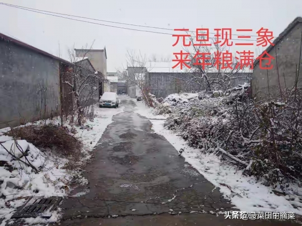 “元旦现三象来年粮满仓”(图2)