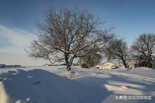 “元旦现三象来年粮满仓”(图3)