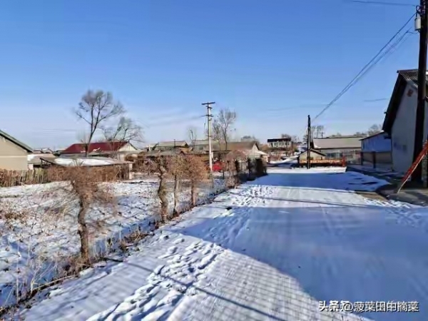 “元旦现三象来年粮满仓”(图5)