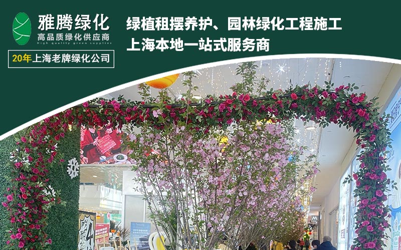 2026年上海办公室绿植租赁服务商深度分析与推荐(图2)