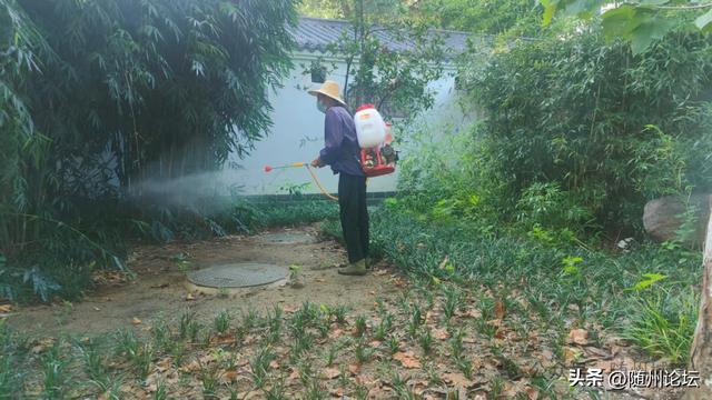 神农公园：全域消杀蚊虫守护游客健康(图2)