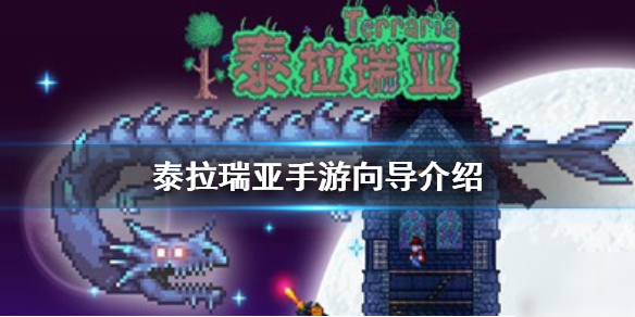 梦幻英超向导(图29)