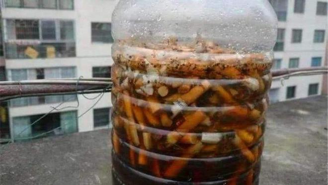 家里到处都是小飞虫比蚊子还烦人教你一招几分钟全部都消灭(图3)