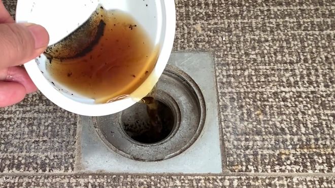 家里到处都是小飞虫比蚊子还烦人教你一招几分钟全部都消灭(图4)