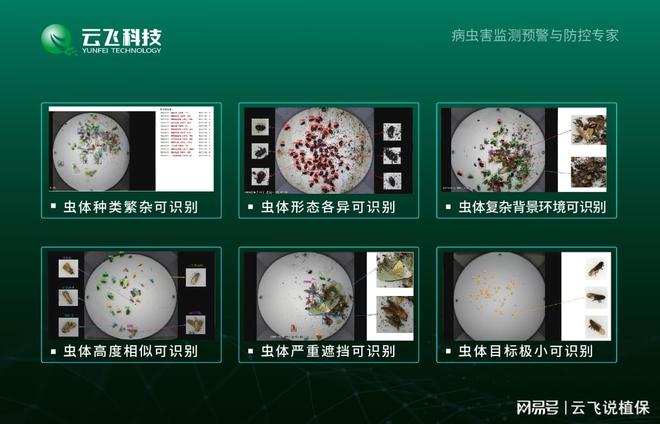 智能虫情监测系统如何实现虫情数据共享(图3)