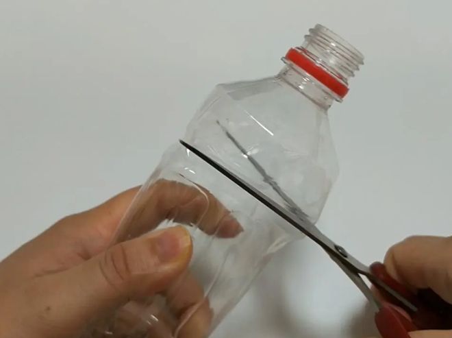 夏天家中蚊子多只用一瓶啤酒蚊子全消灭比蚊香还实用(图16)