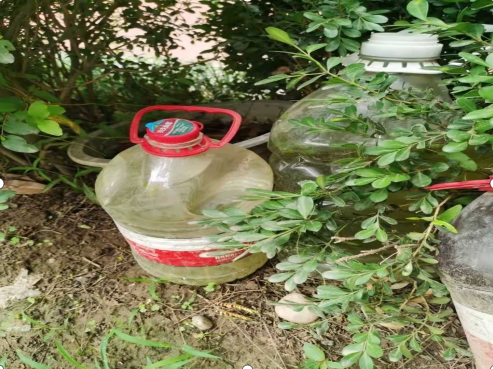 小区蚊子防治方案(图4)