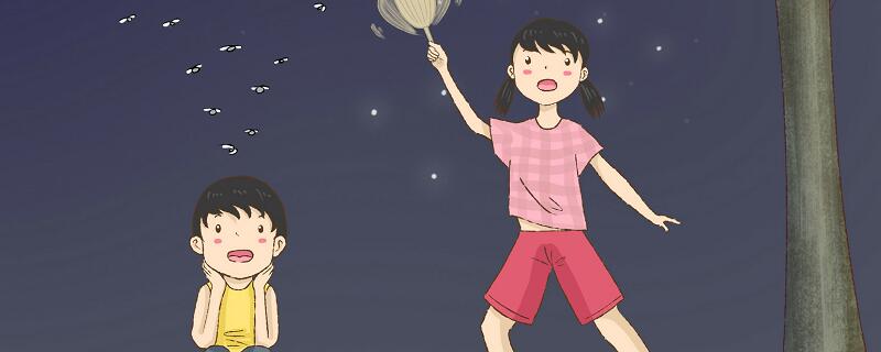 蚊子害怕什么东西(图1)