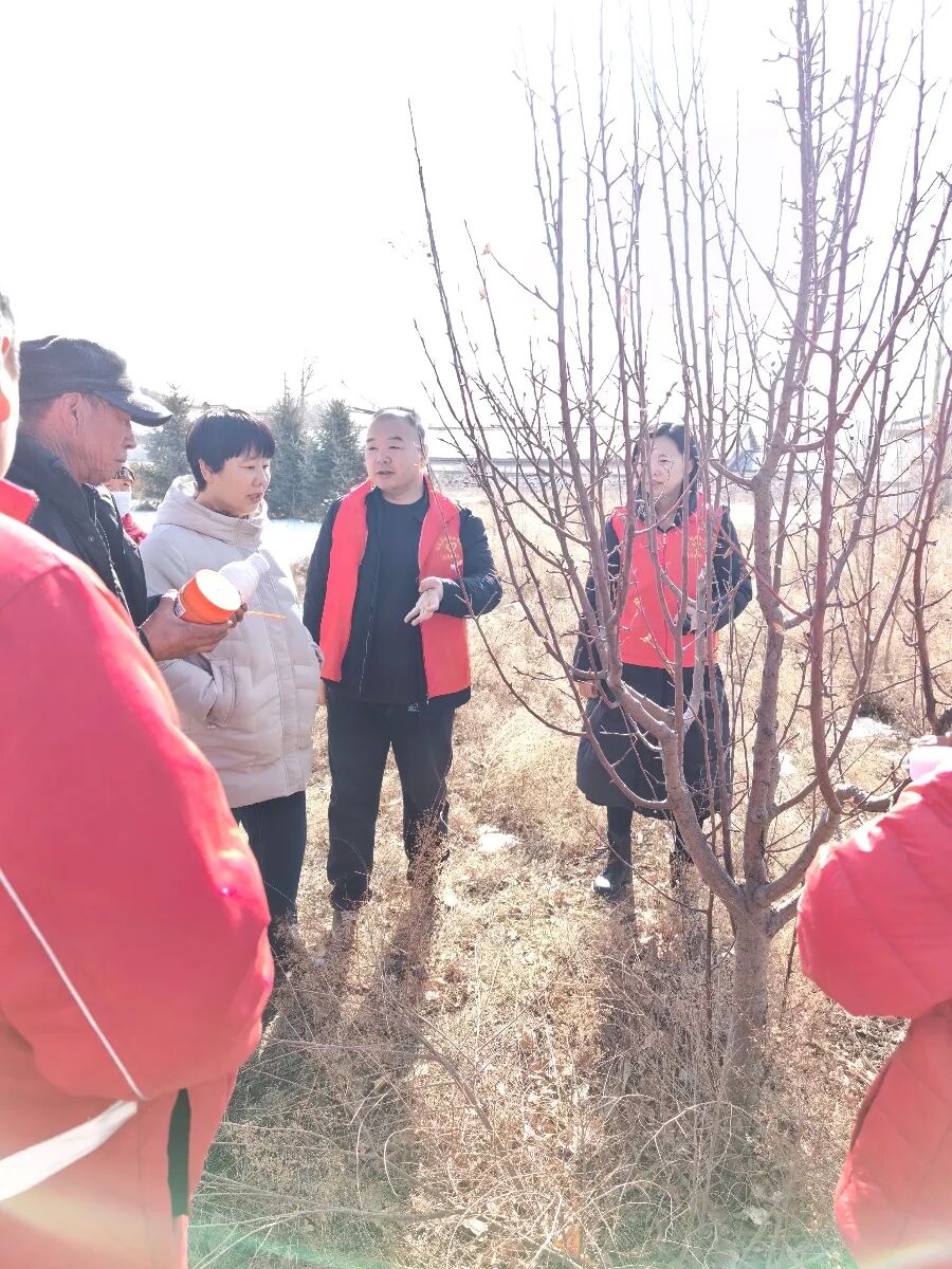 林西县人民政府(图2)