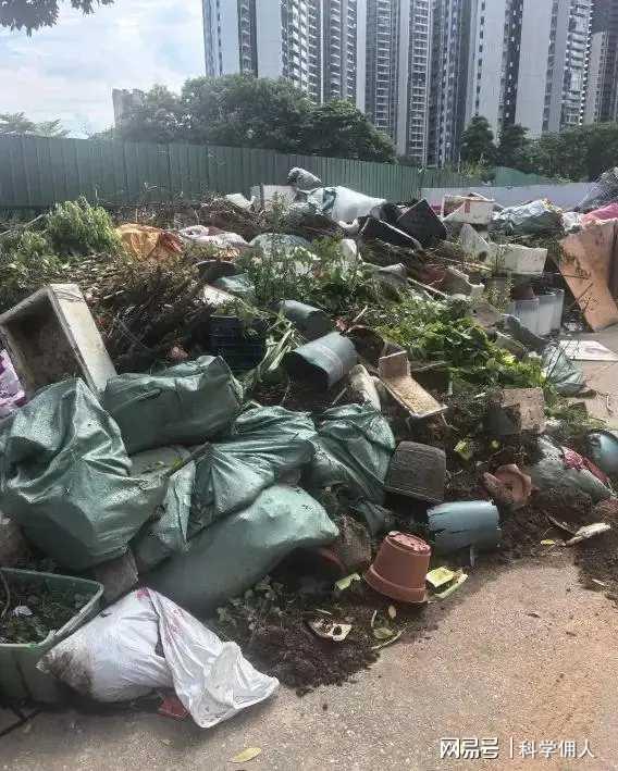 花友崩溃！广东灭蚊战打响多年养的花草全遭殃！(图2)
