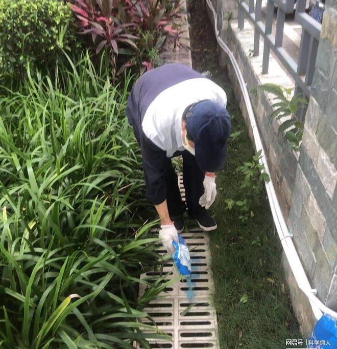花友崩溃！广东灭蚊战打响多年养的花草全遭殃！(图3)