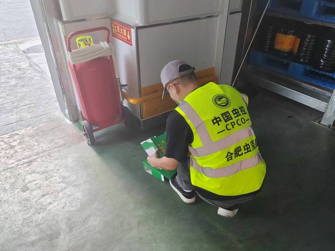 合肥虫克星有害生物防治有限公司：一站式解决家庭与商业虫害难题(图1)