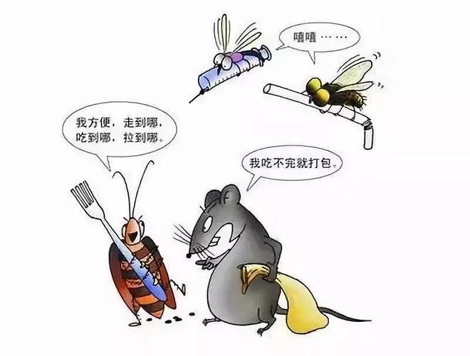 夏天的四害是什么如何进行消杀(图1)