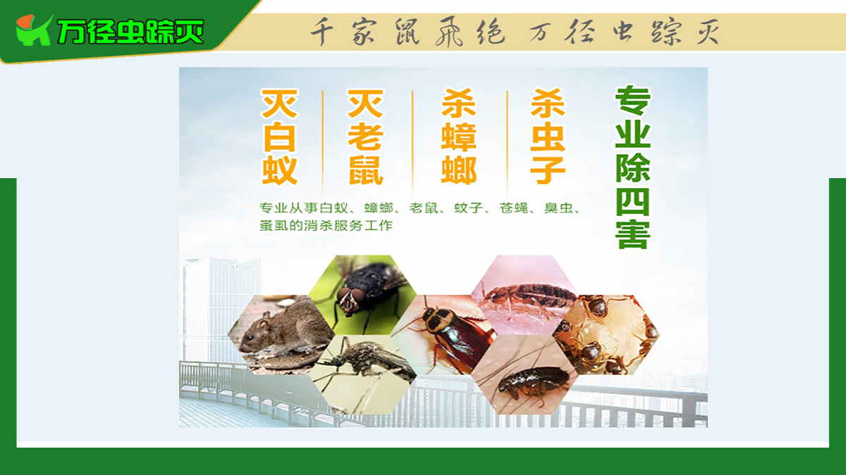 西安5A级写字楼该怎么做好四害消杀工作(图1)