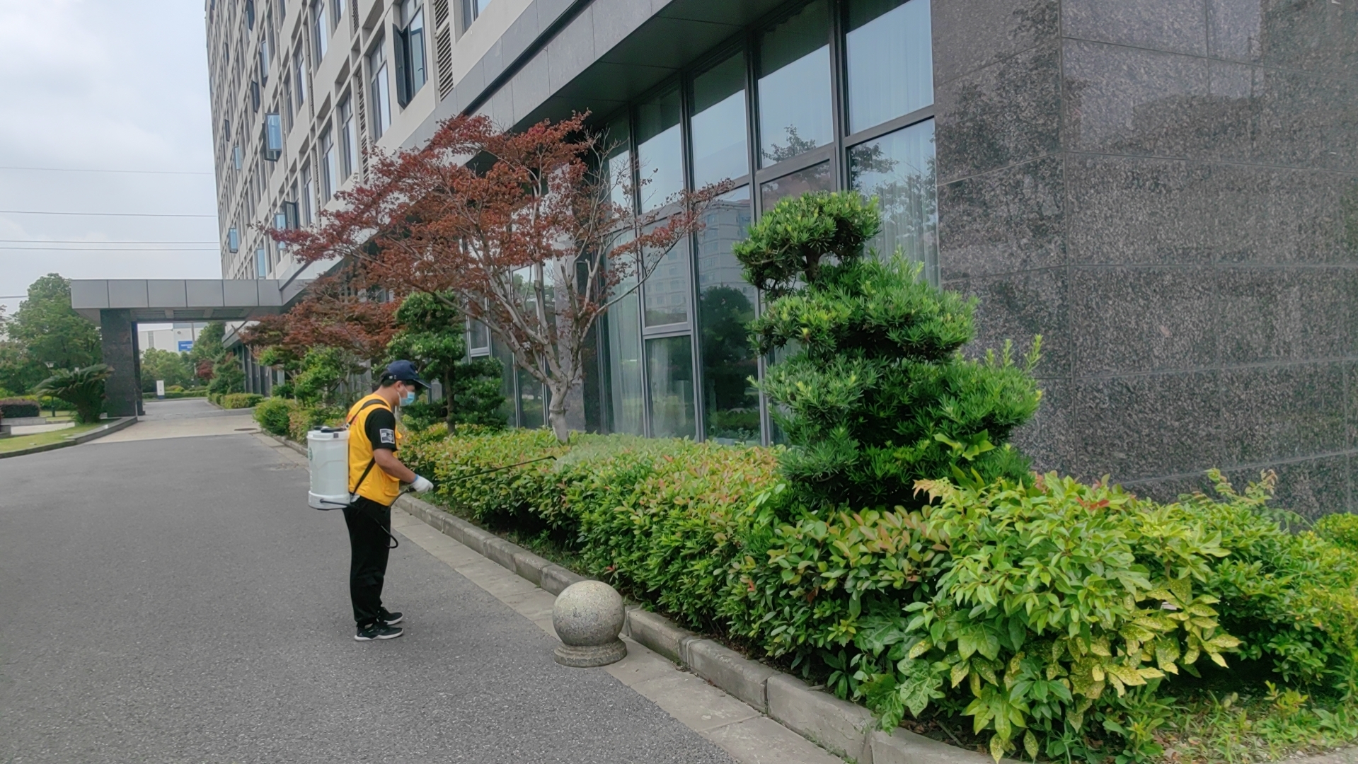 2026年至今武进区专业灭蜜蜂服务团队选择指南(图1)