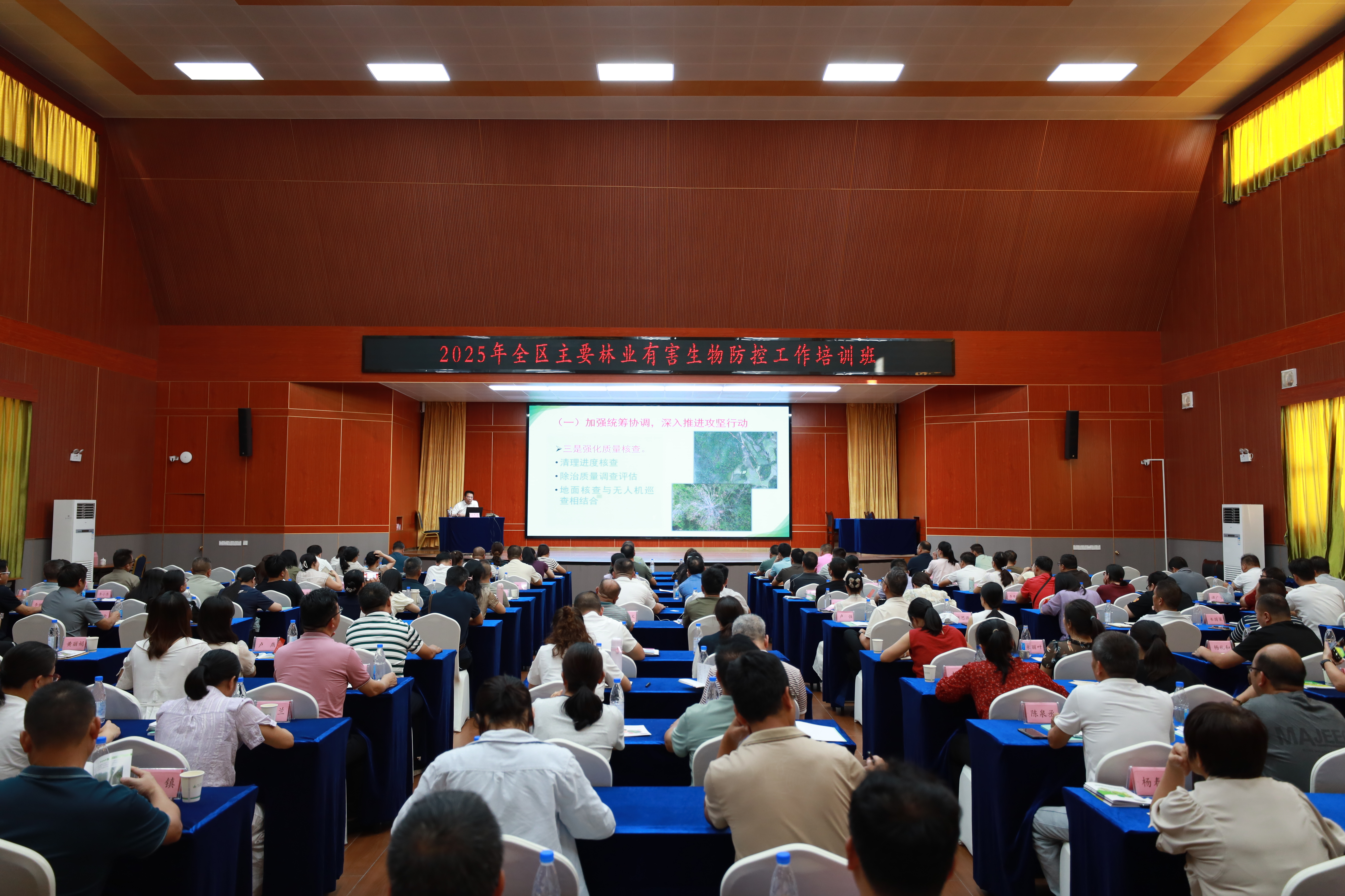 广西举办2025年主要林业有害生物防控工作培训班(图1)